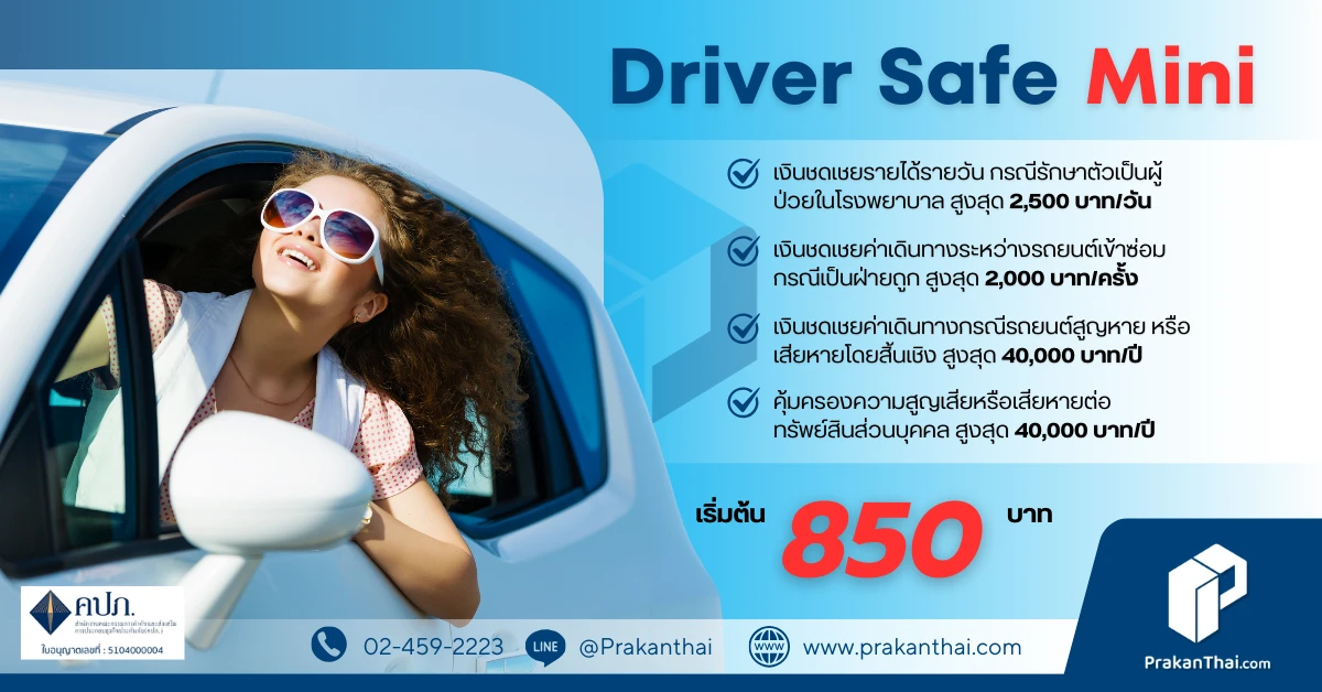 Driver Safe - Mini