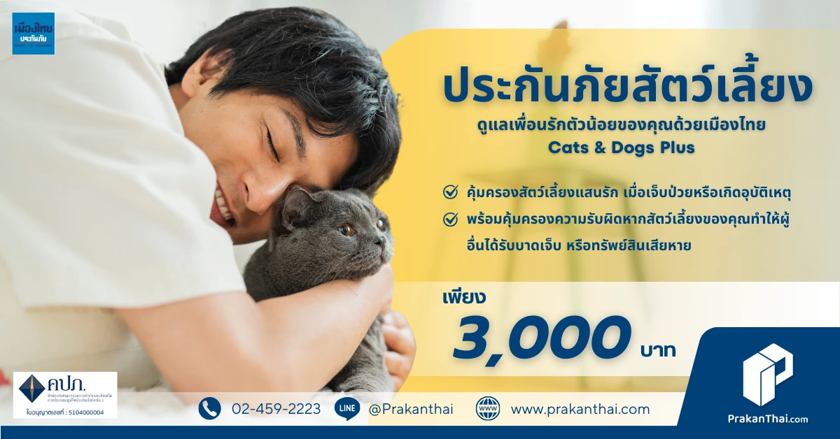 Cats & Dogs Plus