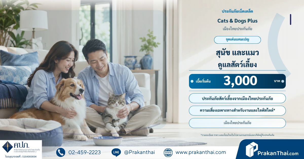 Cats & Dogs Plus