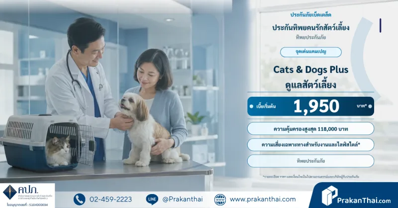 ประกันทิพยคนรักสัตว์เลี้ยง